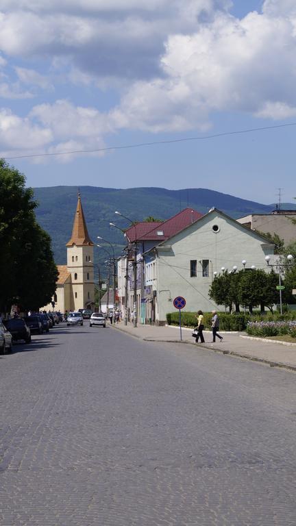 Villa Svalyavа Svalyava Εξωτερικό φωτογραφία